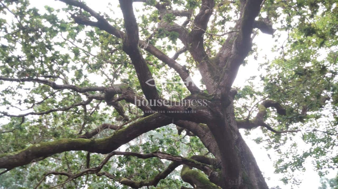 8 soverom Villa til salgs i O Vicedo - € 150 000 (Ref: 9218906)