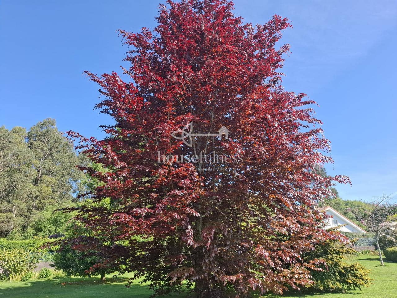 6 slaapkamer Villa te koop in Cabanas met zwembad garage - € 1.200.000 (Ref: 9232394)