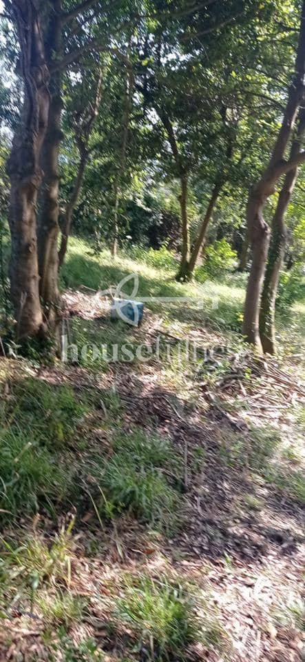 5 sypialnia Finka/Dom wiejski na sprzedaż w Ferrol z garażem - 260 000 € (Ref: 9236037)