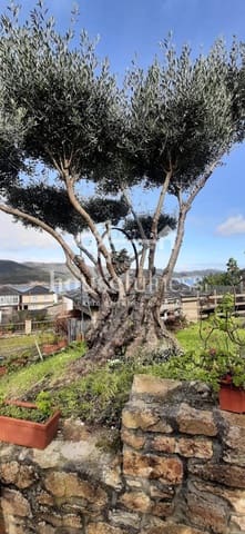 4 soverom Villa til salgs i O Vicedo med garasje - € 348 000 (Ref: 9264046)