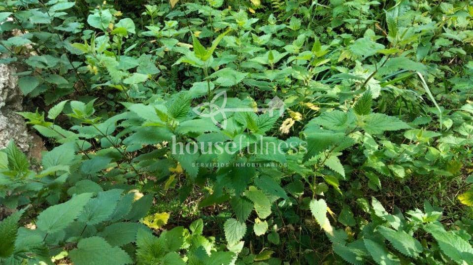 3 soveværelse Finca/Landehus til salg i Ortigueira - € 99.000 (Ref: 9294201)