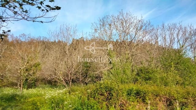 3 slaapkamer Finca/Landhuis te koop in Ortigueira - € 99.000 (Ref: 9294201)