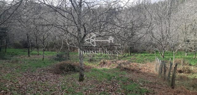 3 slaapkamer Finca/Landhuis te koop in Ortigueira - € 99.000 (Ref: 9294201)