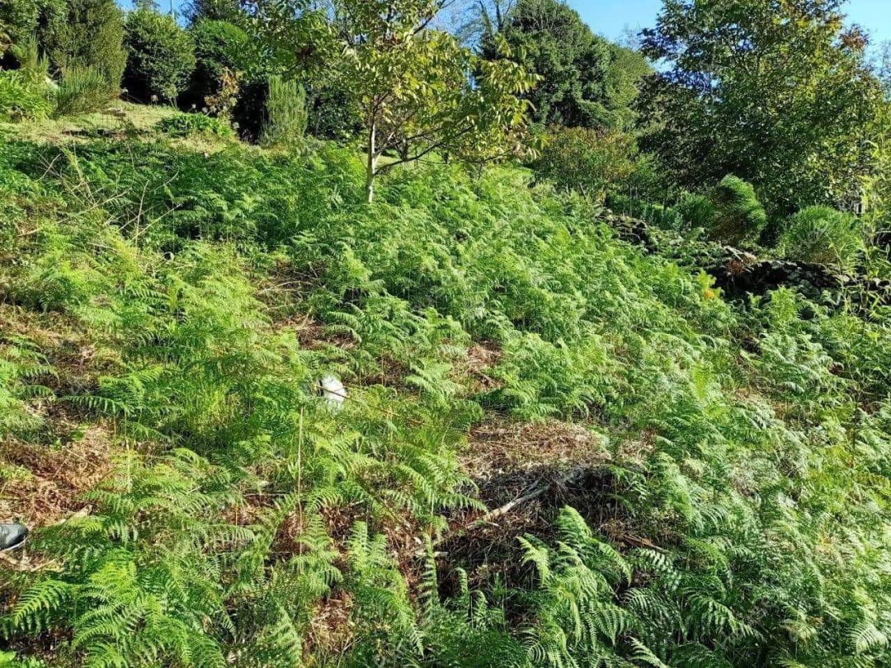 4 bedroom Finca/Country House for sale in Neda - € 25,000 (Ref: 9303097)