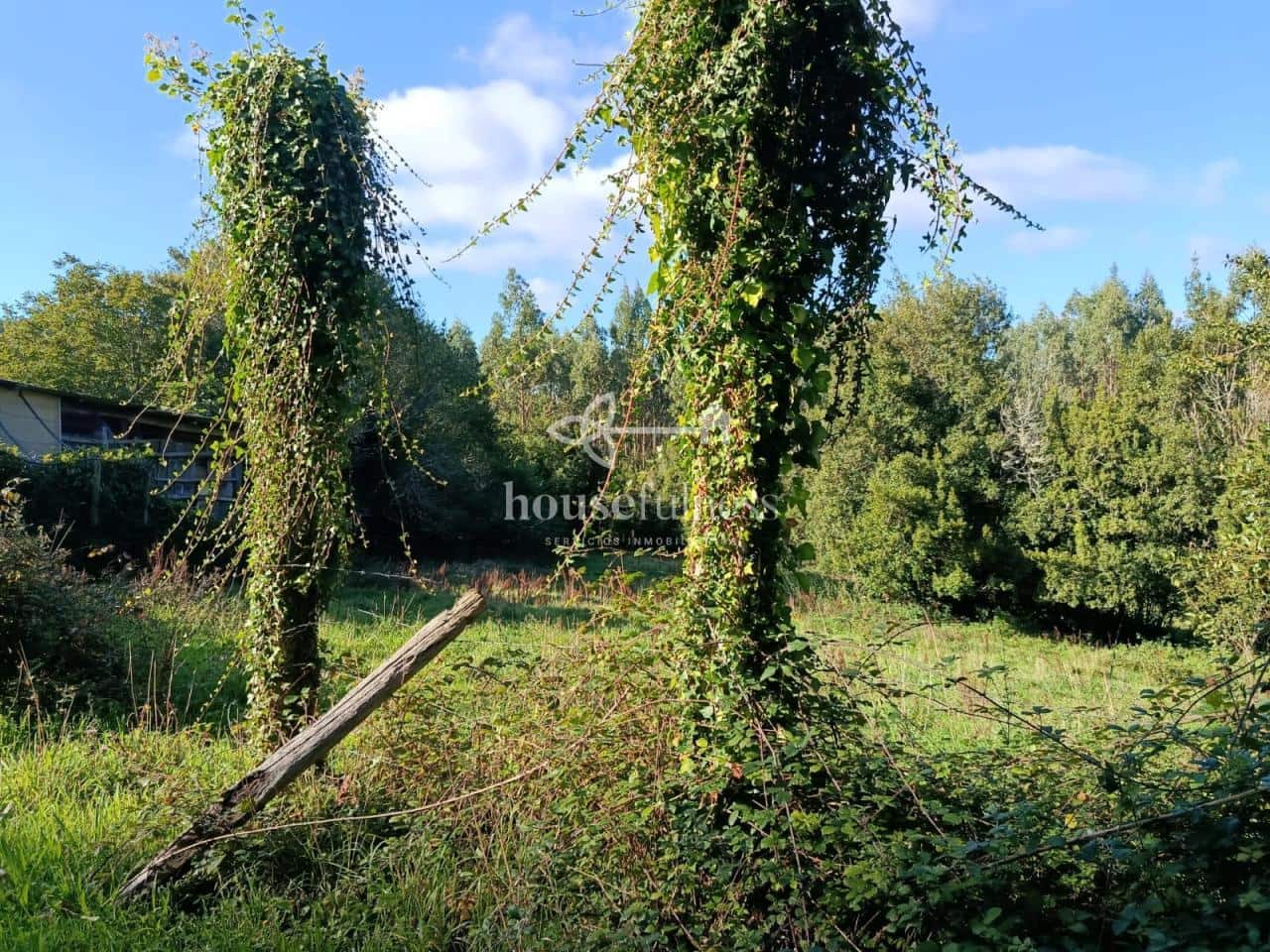 2 soveværelse Finca/Landehus til salg i San Sadurnino - € 60.000 (Ref: 9317256)