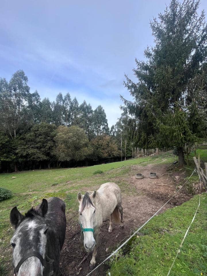 7 slaapkamer Finca/Landhuis te koop in San Sadurnino met zwembad garage - € 350.000 (Ref: 9448949)