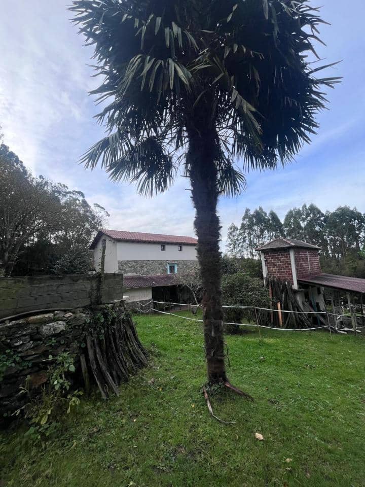 7 slaapkamer Finca/Landhuis te koop in San Sadurnino met zwembad garage - € 350.000 (Ref: 9448949)