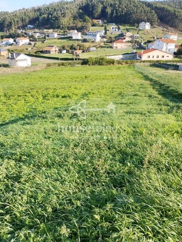 Rakentamaton maa myytävänä paikassa Pantin, Valdoviño - 55 000 € (Ref: 9526198)
