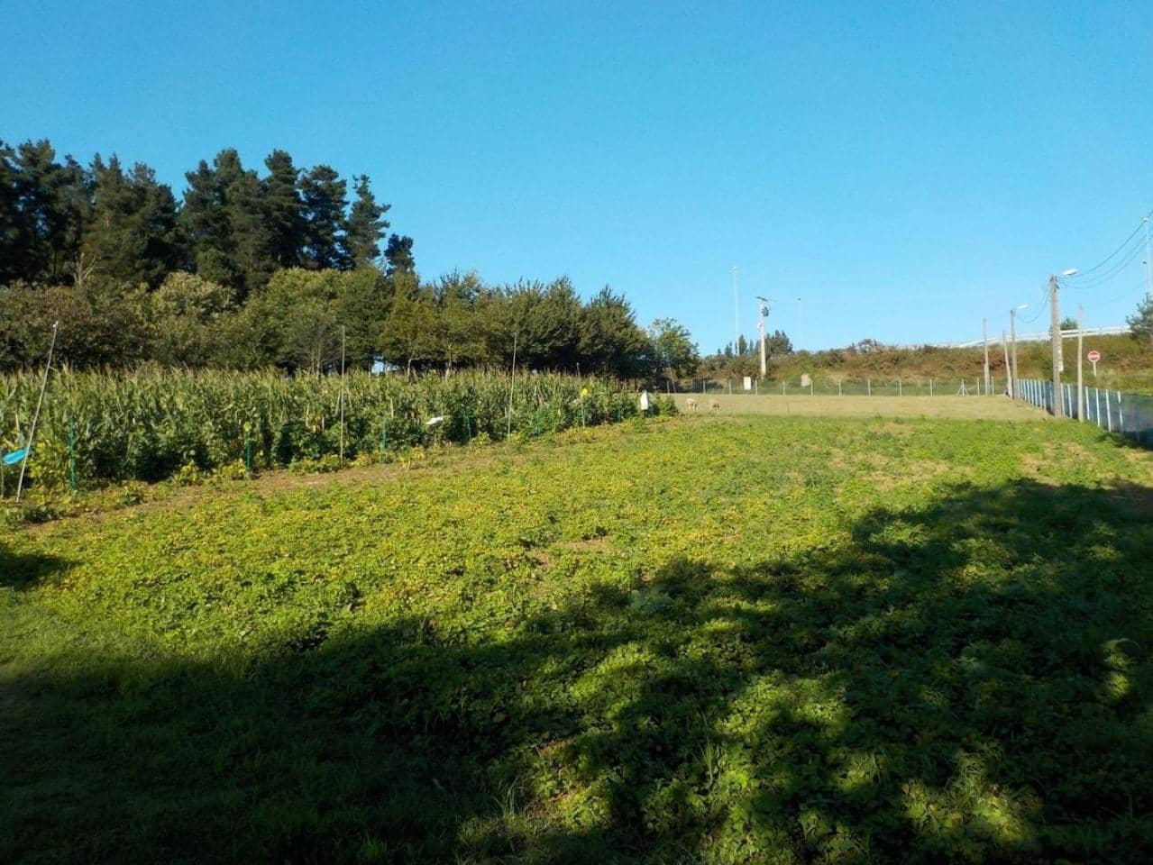 4 quarto Casa em Banda para venda em Naron com garagem - 300 000 € (Ref: 9570407)