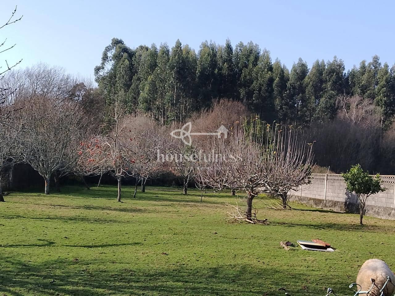 5 slaapkamer Finca/Landhuis te koop in Naron met garage - € 499.000 (Ref: 9570420)