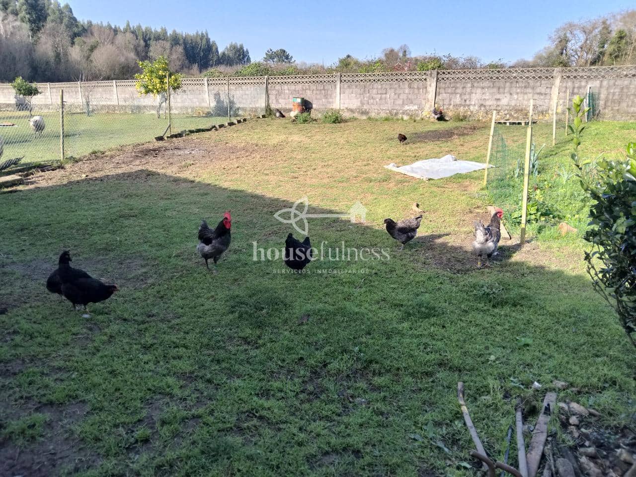 5 slaapkamer Finca/Landhuis te koop in Naron met garage - € 499.000 (Ref: 9570420)