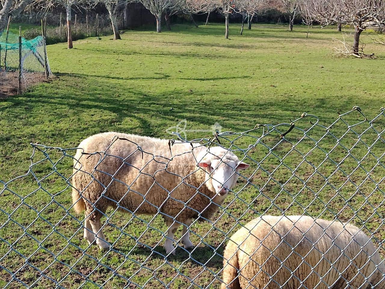 5 slaapkamer Finca/Landhuis te koop in Naron met garage - € 499.000 (Ref: 9570420)