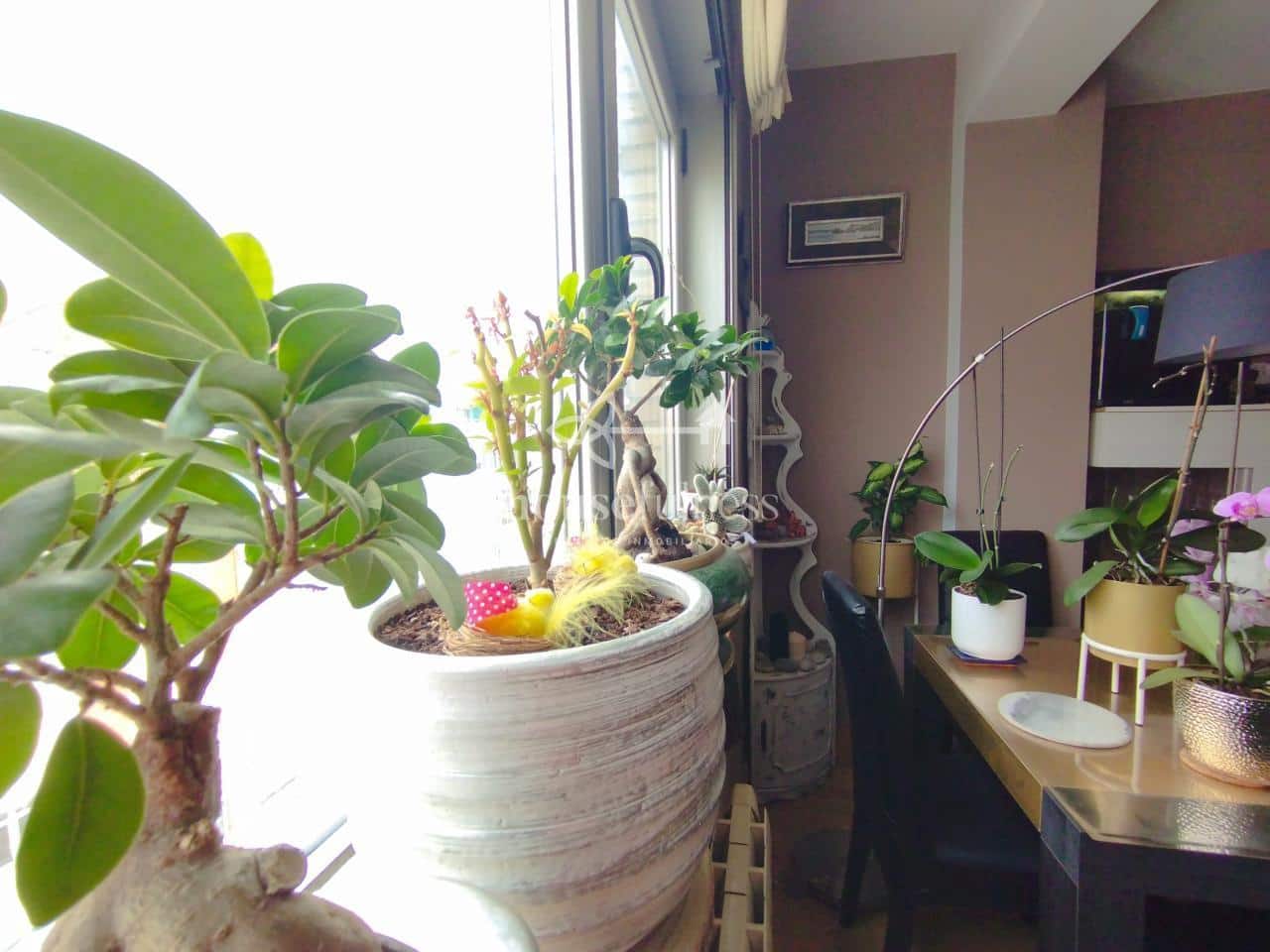 3 camera da letto Appartamento in vendita in Ferrol - 172.000 € (Rif: 9984424)