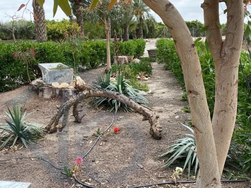 Finca/Landehus til salg i Almendricos - € 230.000 (Ref: 8256159)