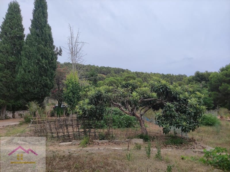 4 bedroom Finca/Country House for sale in Castello de la Plana - € 375,000 (Ref: 9841176)