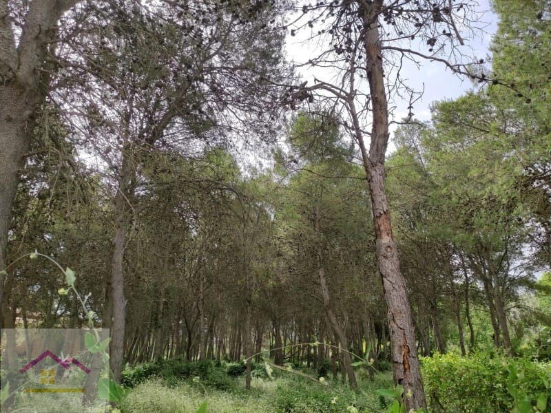 12 soveværelse Hotel til salg i Ulldecona med swimmingpool garage - € 660.000 (Ref: 9841177)