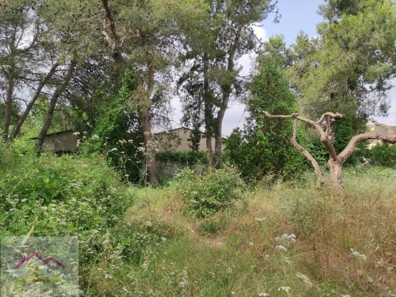 12 soveværelse Hotel til salg i Ulldecona med swimmingpool garage - € 660.000 (Ref: 9841177)