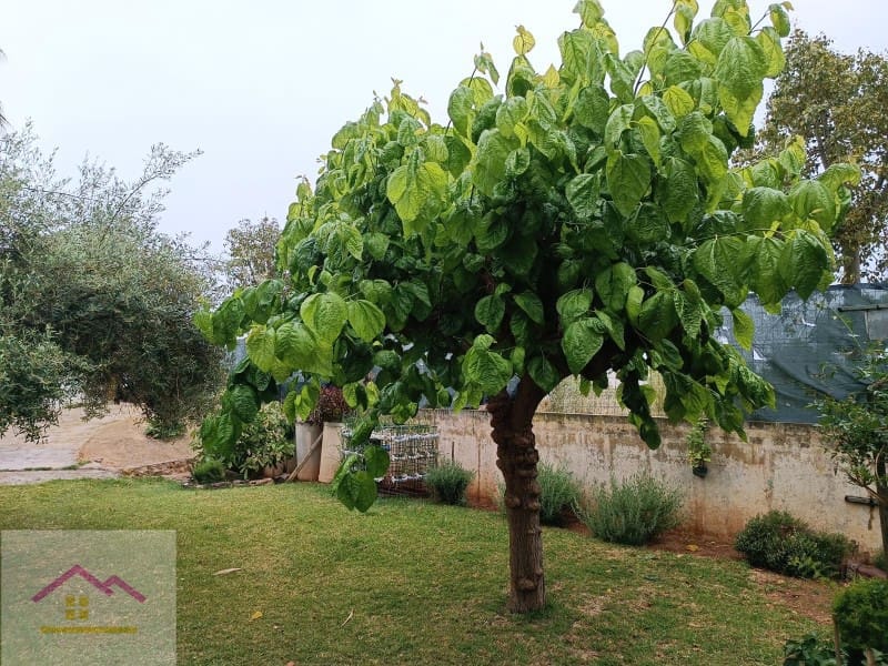 2 bedroom Finca/Country House for sale in Cabanes with garage - € 100,000 (Ref: 9841192)