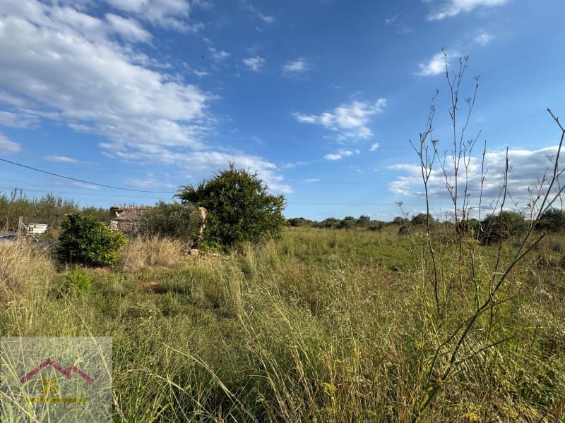 Grunde uden byggetilladelser til salg i Torreblanca - € 25.000 (Ref: 9841194)
