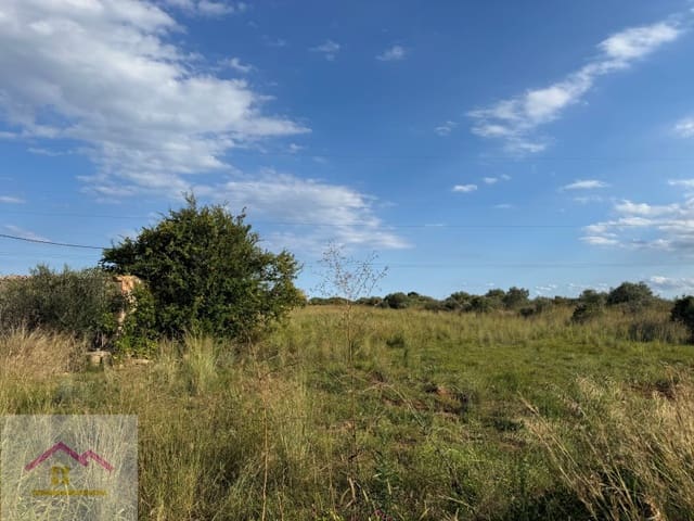 Grunde uden byggetilladelser til salg i Torreblanca - € 25.000 (Ref: 9841194)