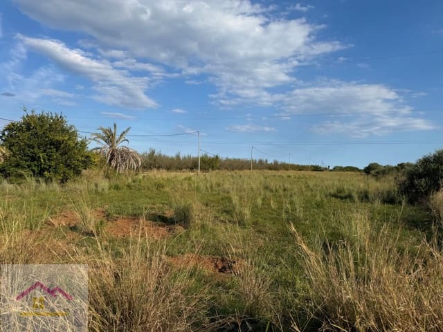 Grunde uden byggetilladelser til salg i Torreblanca - € 25.000 (Ref: 9841194)