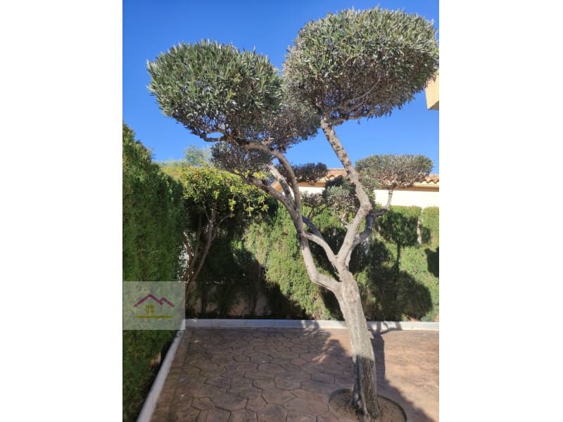 4 Zimmer Doppelhaus zu verkaufen in Peniscola mit Pool Garage - 250.000 € (Ref: 9841202)
