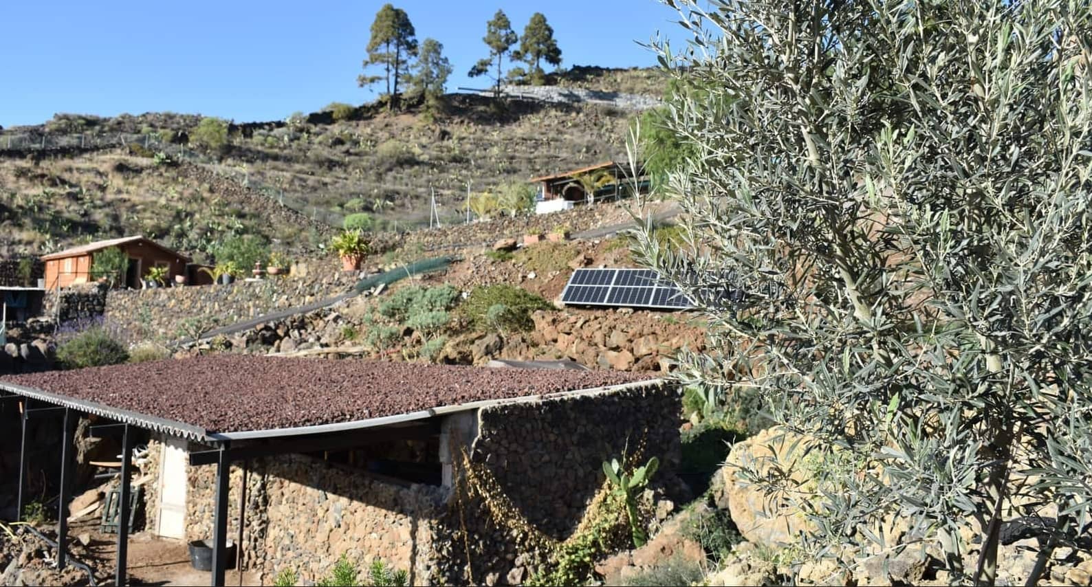 6 soveværelse Finca/Landehus til salg i Acojeja med garage - € 750.000 (Ref: 8277383)