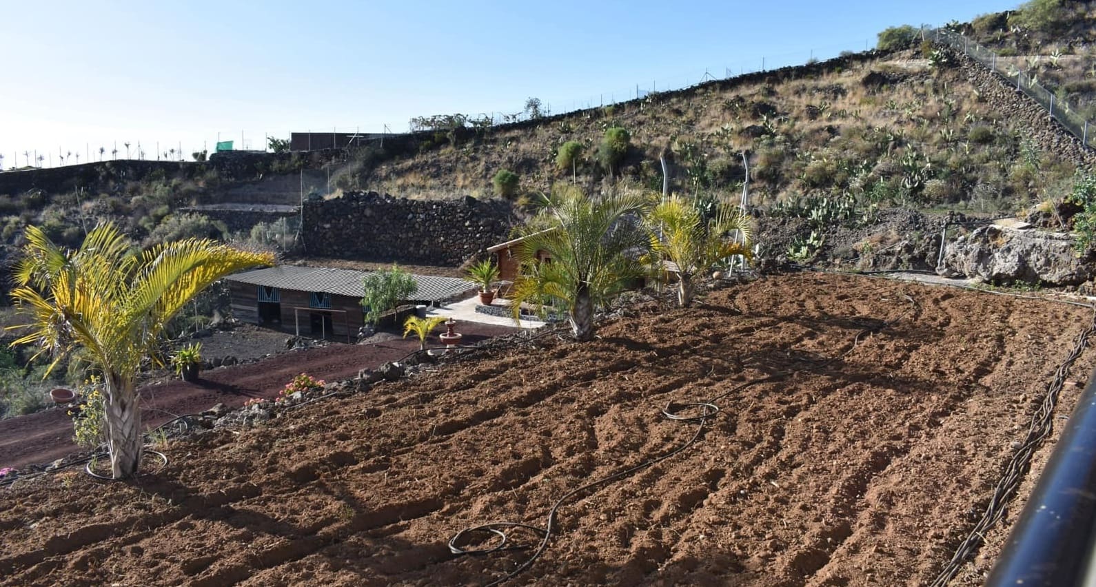 6 soveværelse Finca/Landehus til salg i Acojeja med garage - € 750.000 (Ref: 8277383)