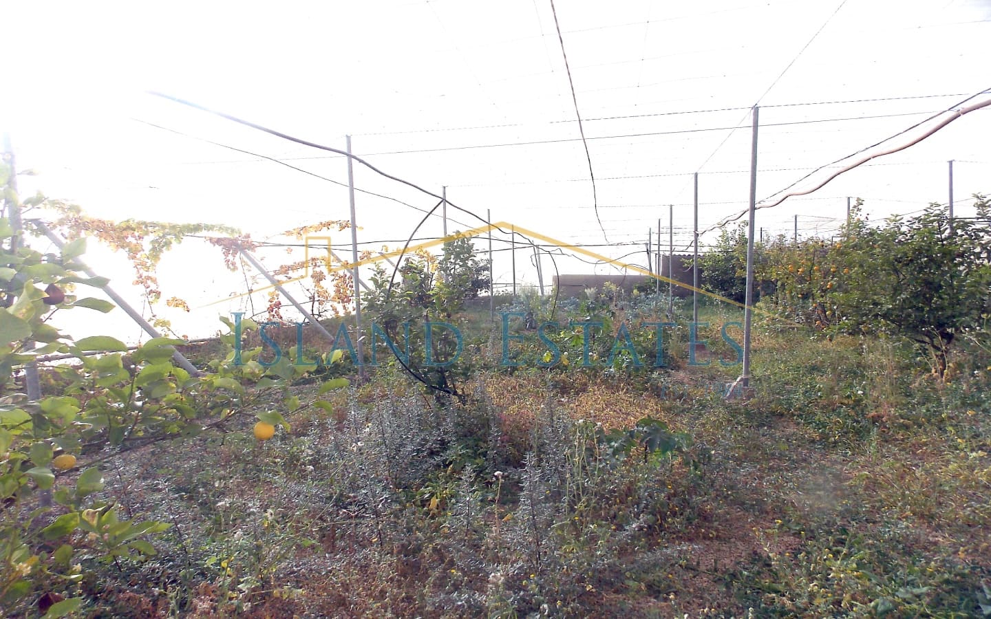 3 bedroom Villa for sale in Los Blanquitos with pool garage - € 475,000 (Ref: 8277392)