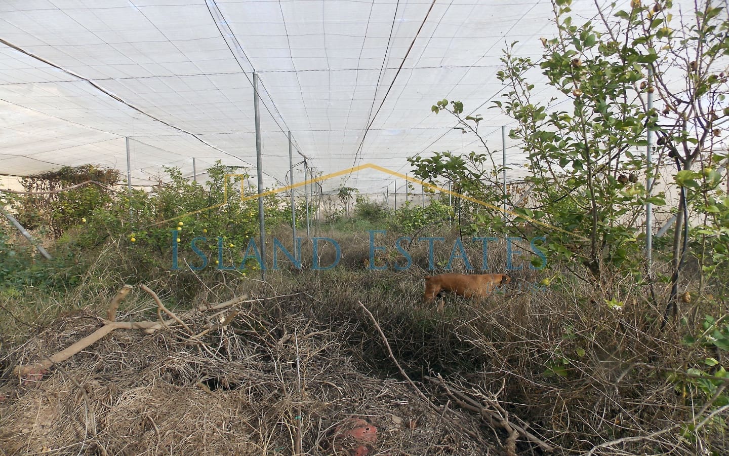 3 bedroom Villa for sale in Los Blanquitos with pool garage - € 475,000 (Ref: 8277392)