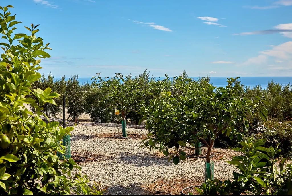 3 soveværelse Finca/Landehus til salg i Guia de Isora - € 2.100.000 (Ref: 9339126)