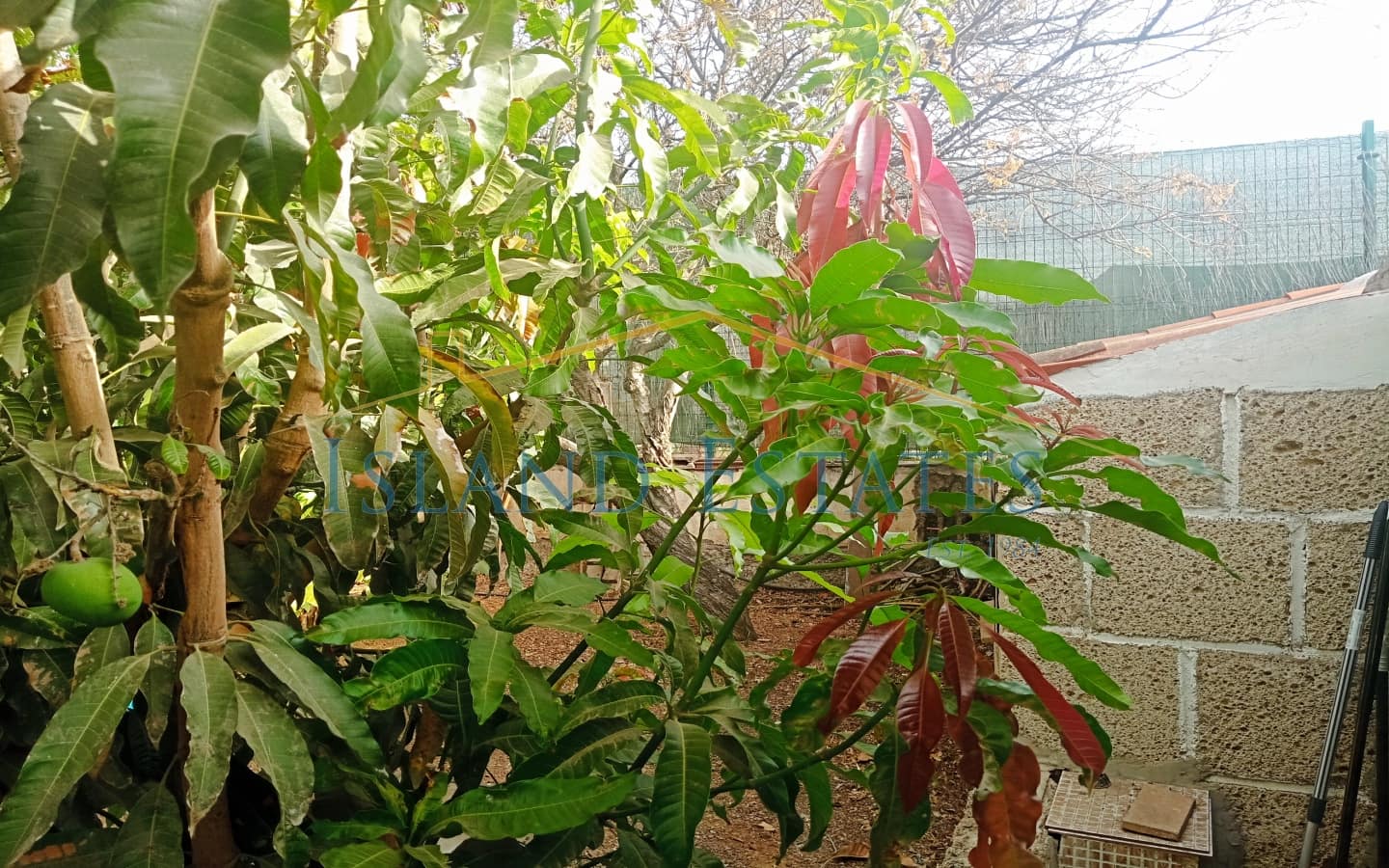 3 slaapkamer Finca/Landhuis te koop in Atogo met zwembad garage - € 389.000 (Ref: 9345214)