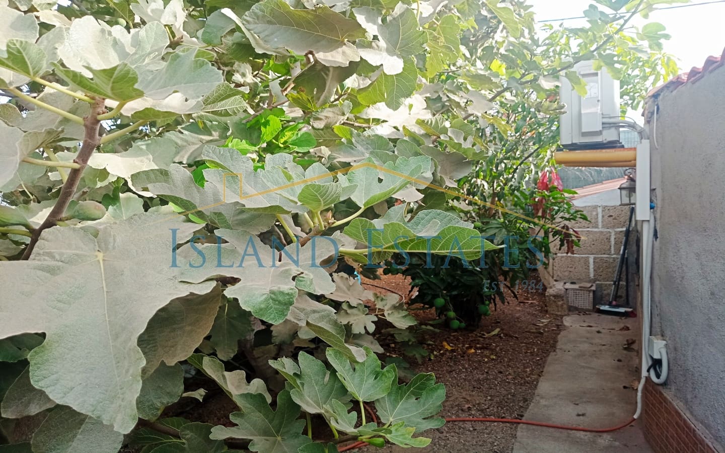 3 slaapkamer Finca/Landhuis te koop in Atogo met zwembad garage - € 389.000 (Ref: 9345214)