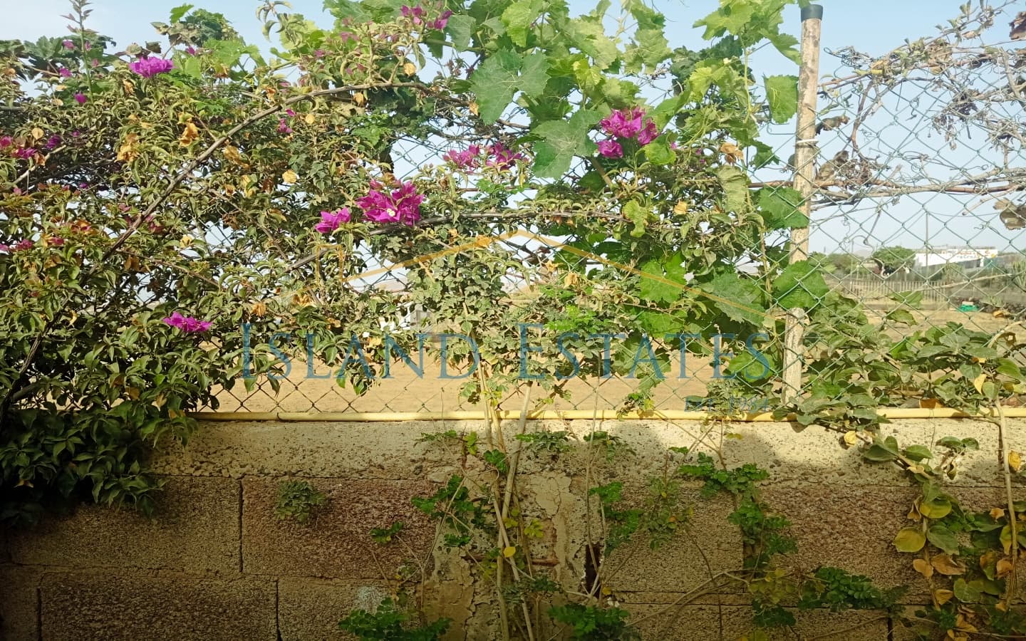 3 slaapkamer Finca/Landhuis te koop in Atogo met zwembad garage - € 389.000 (Ref: 9345214)