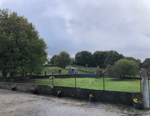 Building Plot for sale in Castro Caldelas - € 29,000 (Ref: 6948265)