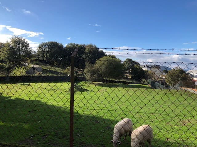 Building Plot for sale in Castro Caldelas - € 29,000 (Ref: 6948265)