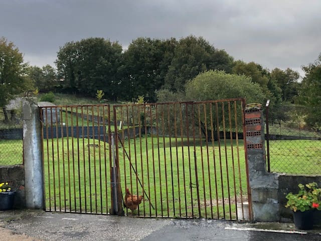 Building Plot for sale in Castro Caldelas - € 29,000 (Ref: 6948265)