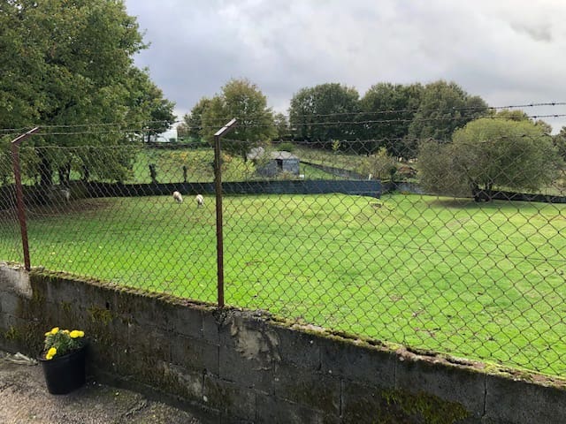 Building Plot for sale in Castro Caldelas - € 29,000 (Ref: 6948265)