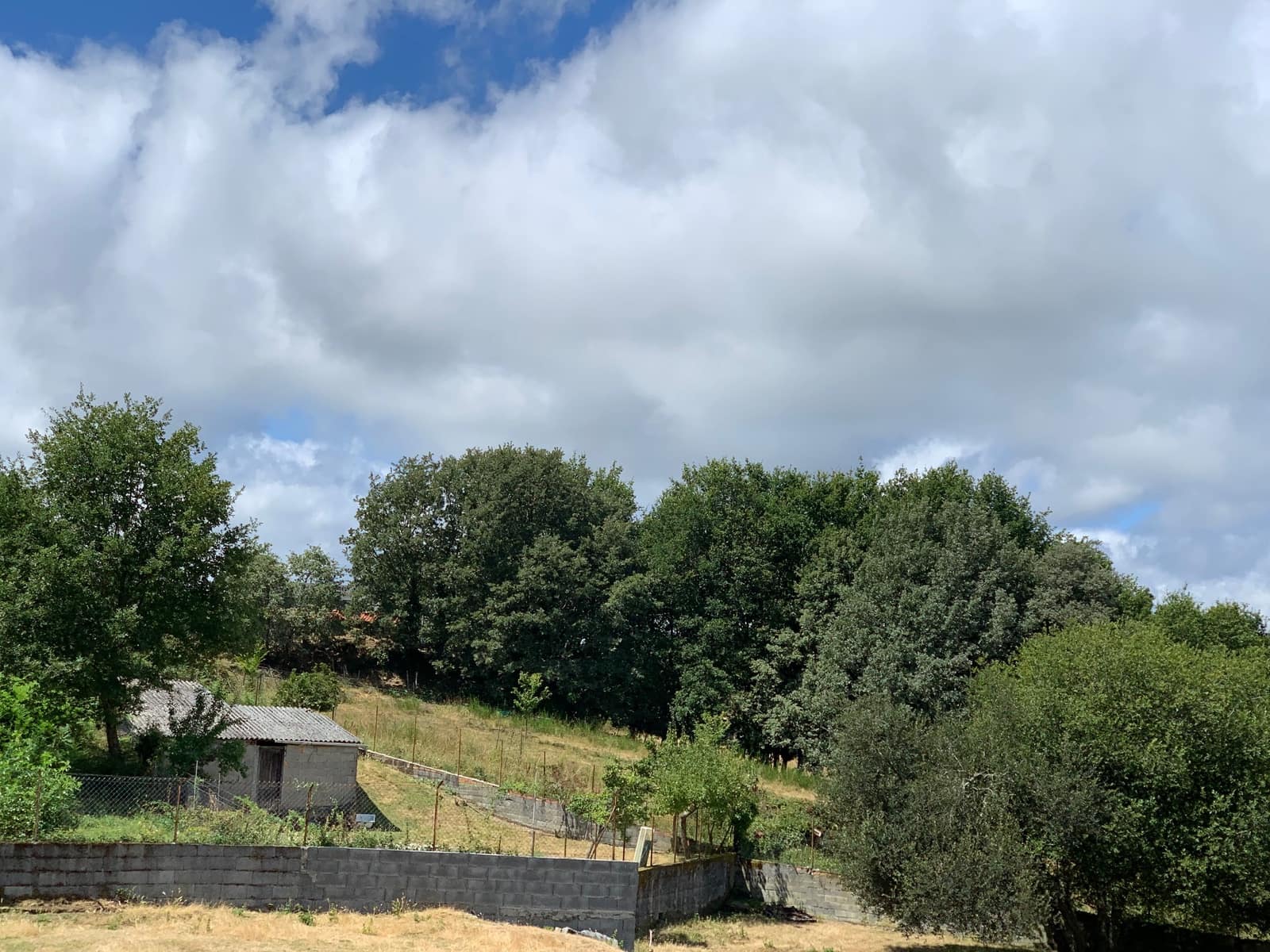 Building Plot for sale in Castro Caldelas - € 29,000 (Ref: 6948265)