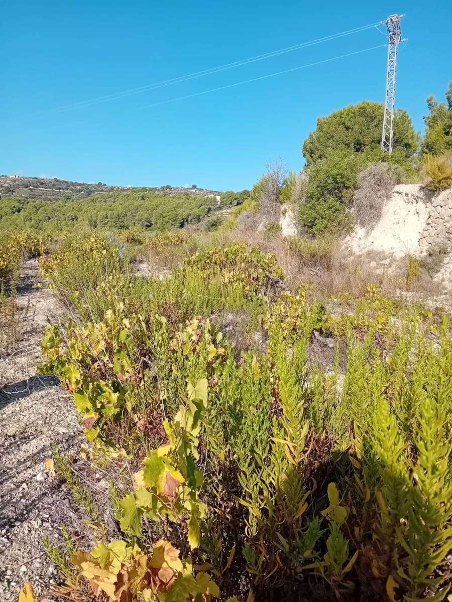 Terreno para Construção para venda em Teulada-Moraira - 330 000 € (Ref: 10144908)