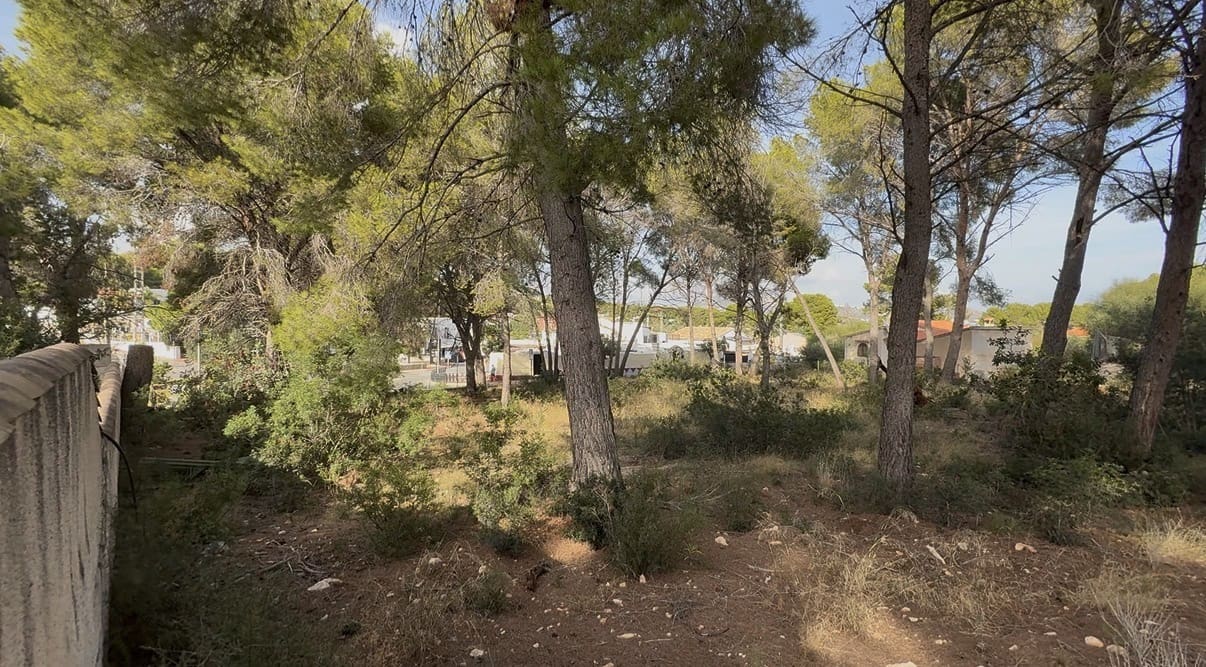 Ubebygd land til salgs i Benissa - € 595 000 (Ref: 10174299)
