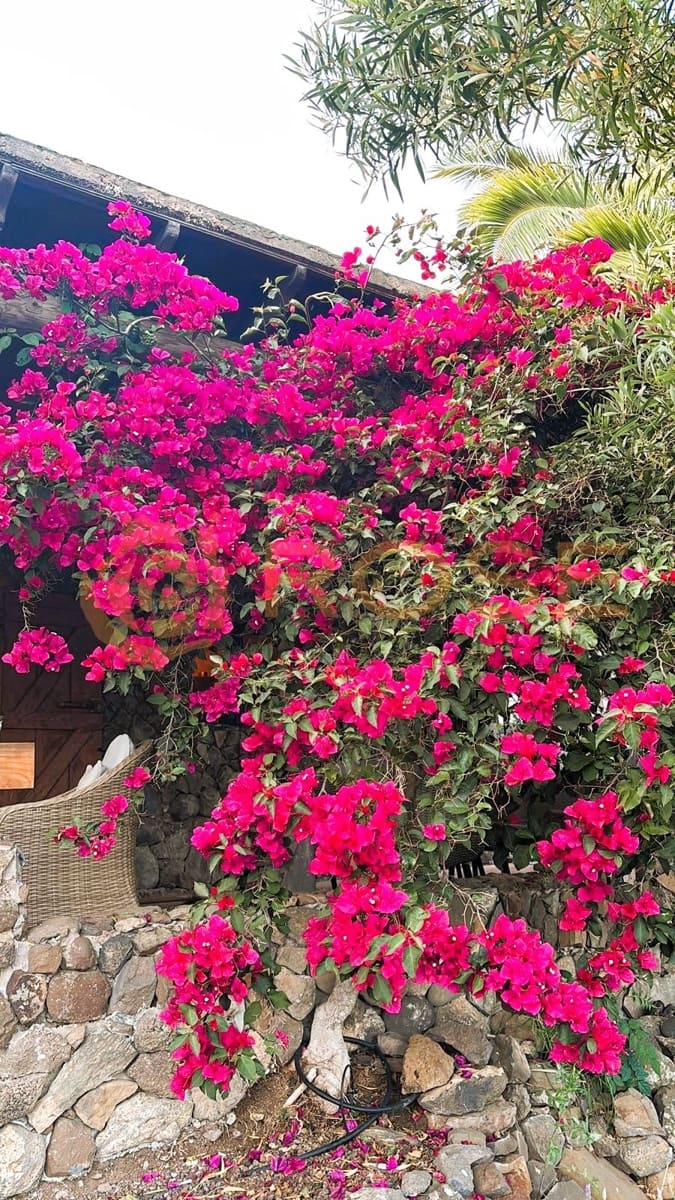 2 soverom Finca/Herregård til salgs i Ingenio med svømmebasseng garasje - € 669 000 (Ref: 9361779)