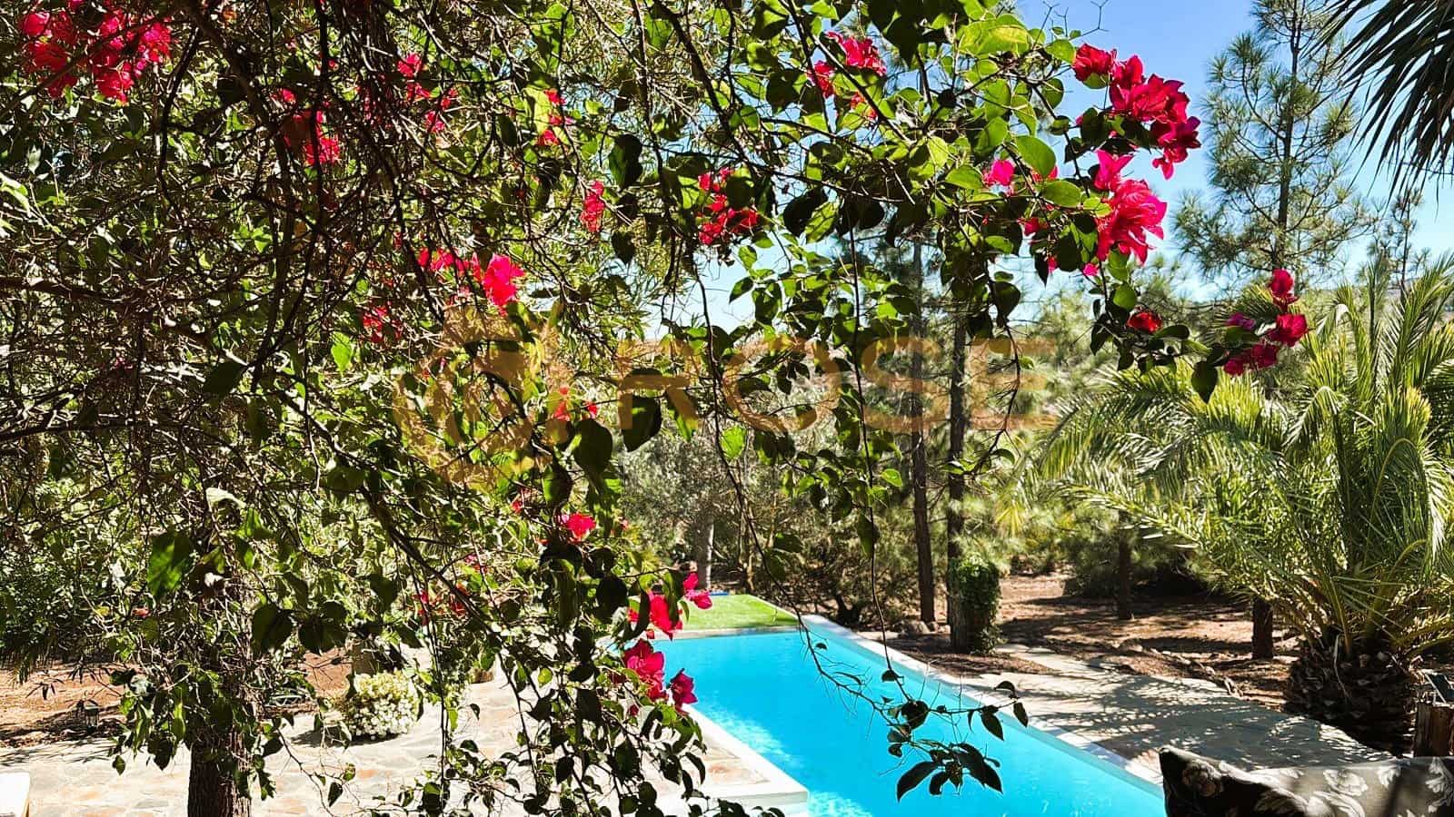 2 soverom Finca/Herregård til salgs i Ingenio med svømmebasseng garasje - € 669 000 (Ref: 9361779)