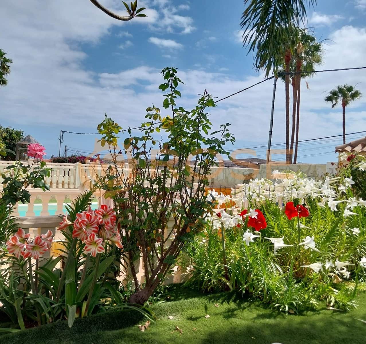 4 bedroom Finca/Country House for sale in El Salobre with pool garage - € 750,000 (Ref: 9806733)