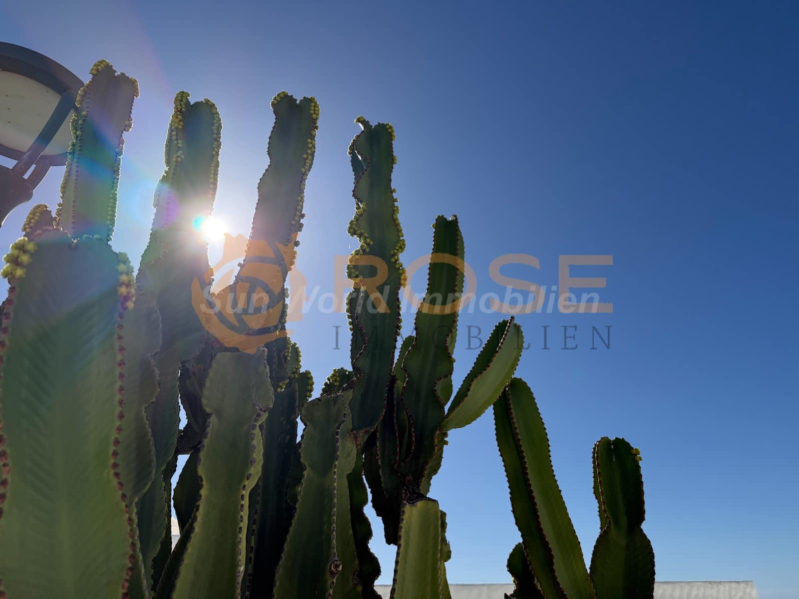 Bungalow de 4 habitaciones en San Agustín en venta con piscina - 1.050.000 € (Ref: 9948424)
