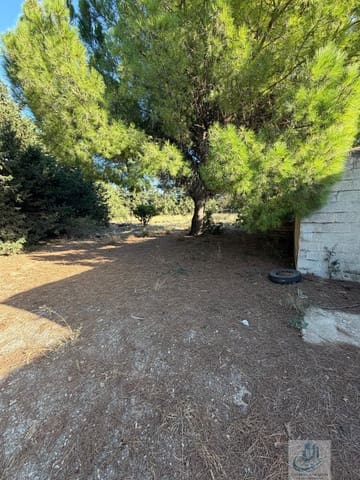 Finca/Casa Rural en Pago del Humo, Chiclana de la Frontera en venta - 130.000 € (Ref: 7716299)