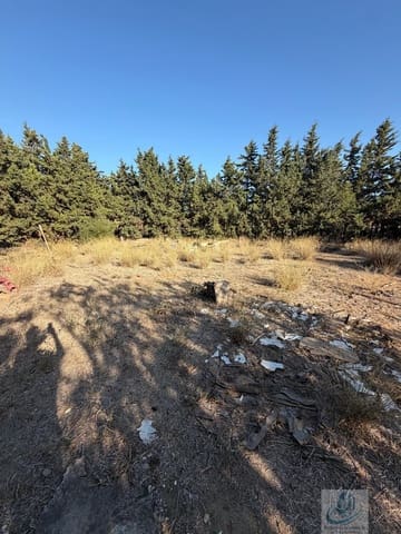 Finca/Casa Rural en Pago del Humo, Chiclana de la Frontera en venta - 130.000 € (Ref: 7716299)