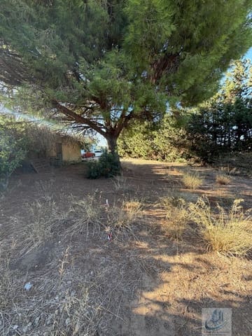 Finca/Casa Rural en Pago del Humo, Chiclana de la Frontera en venta - 130.000 € (Ref: 7716299)