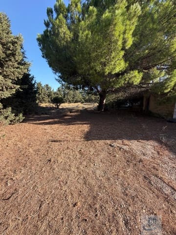 Finca/Casa Rural en Pago del Humo, Chiclana de la Frontera en venta - 130.000 € (Ref: 7716299)