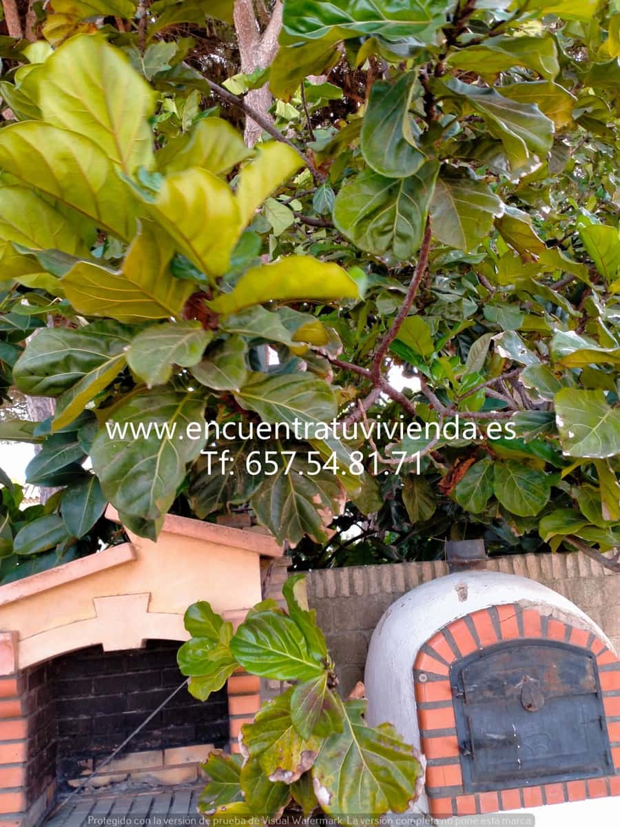 6 soveværelse Villa til salg i La Barrosa med swimmingpool garage - € 750.000 (Ref: 7716301)